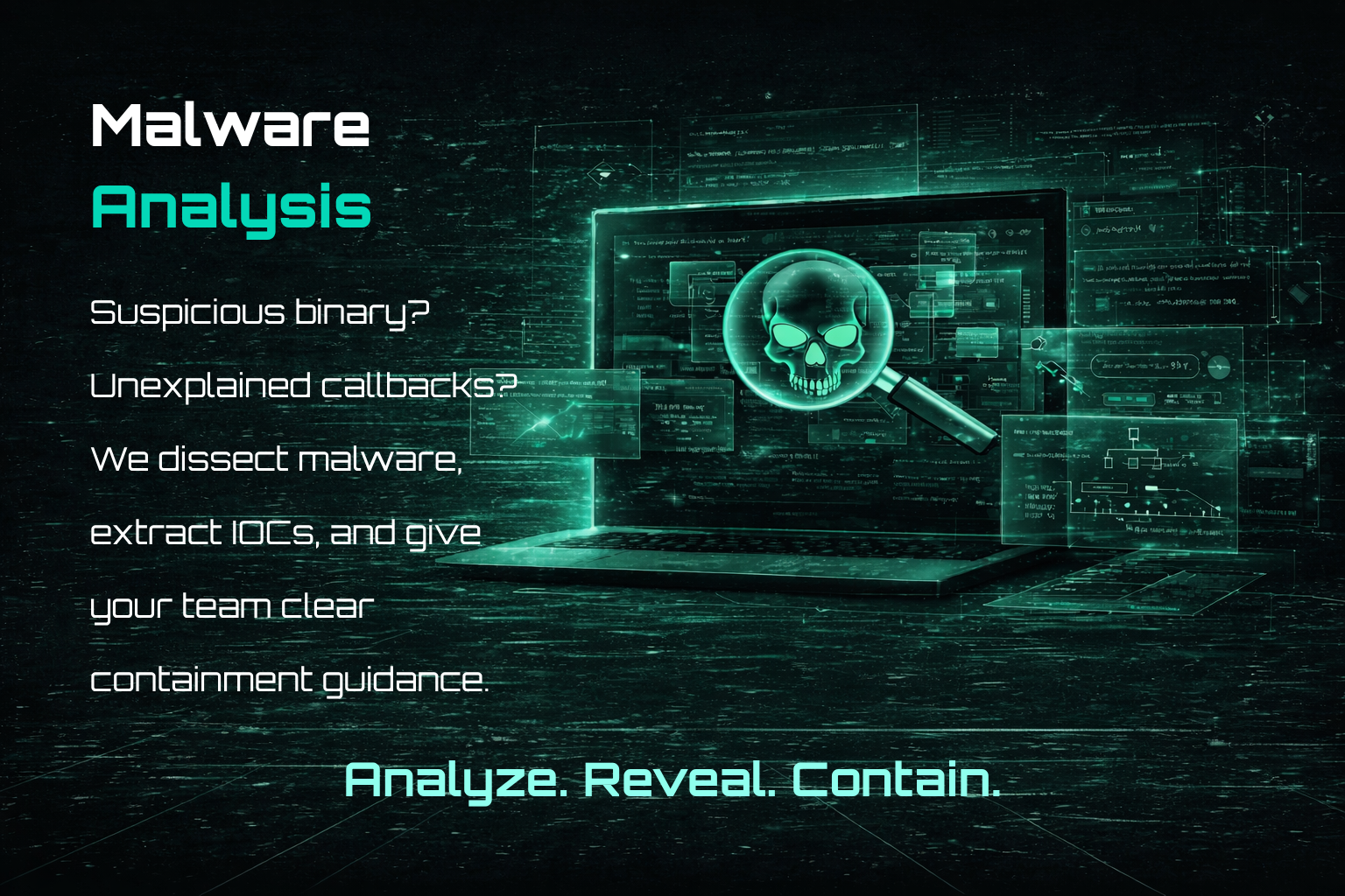 Malware Analysis